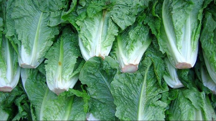 CDC Says Romaine Lettuce is Source of e. Coli Breakout