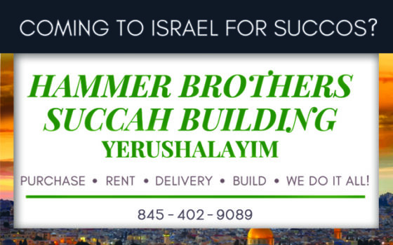 Spending Succos in Yerushalyim: The Hammer Brothers can help you with all your Succah preparations!